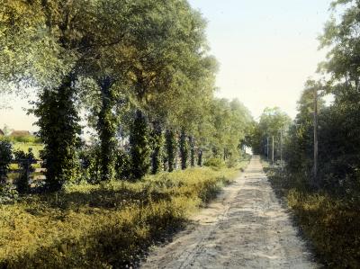 A country road in Huntington, New York