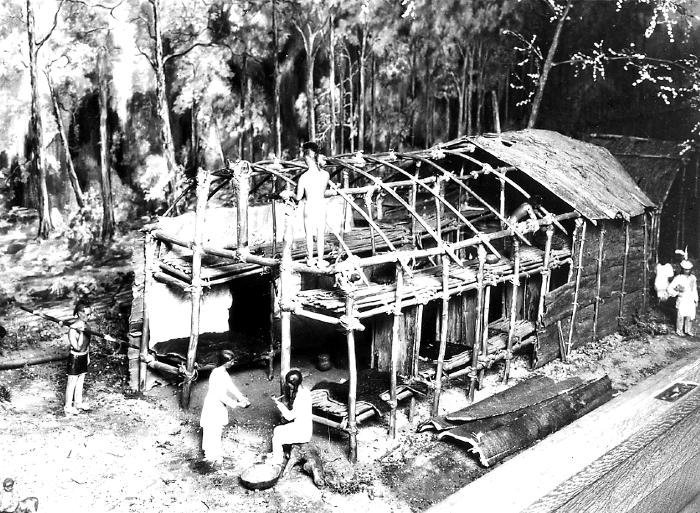 Native Americans. Bark Lodge in process of Construction