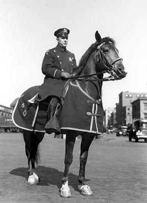 New York City. Mounted Policeman