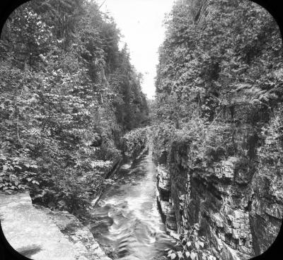 Au Sable [sic] Chasm, looking down Grand Flume