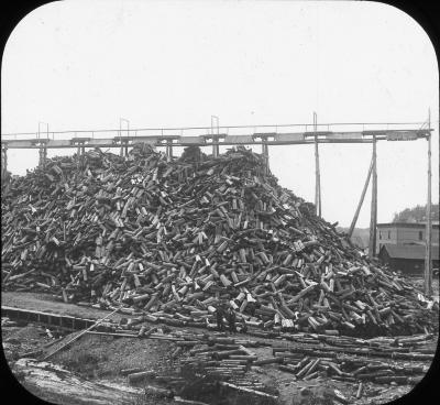 Mountain of logs