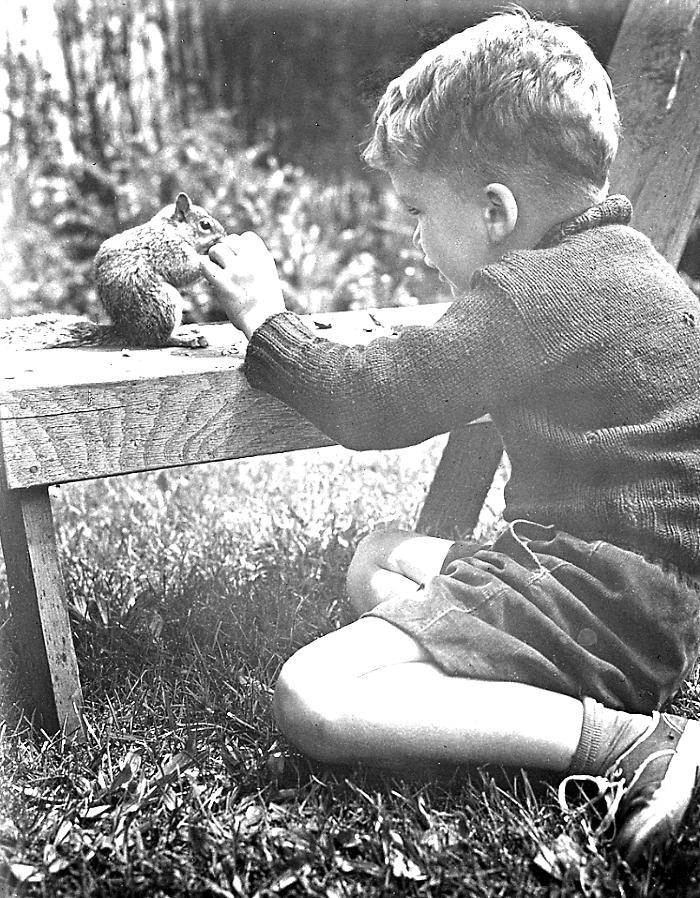 Animals - Small Boy Feeding Gray Squirrel