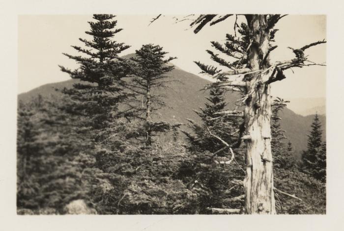 Iroquois Mt. From Summit of Mt. Herbert