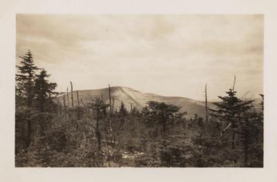 Slide Mt. Catskills