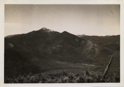 [Algonquin and Wright Mts from] Phelps Mt.