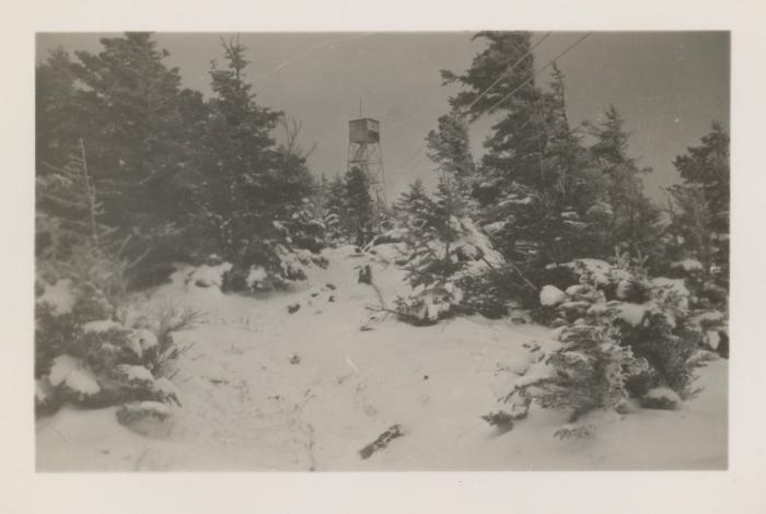 Crane Mountain [Fire Tower]