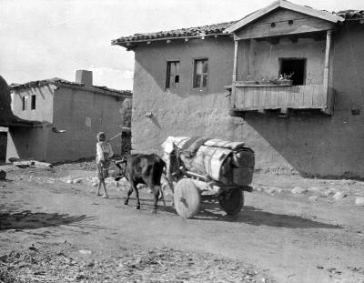 Kumbet, Asia Minor - Village houses of two stories, cart with two solid wheels drawn by oxen