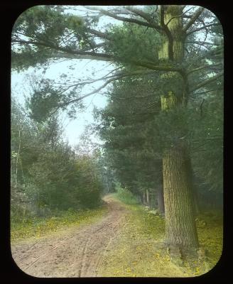 Road between Jay & Ausable Forks