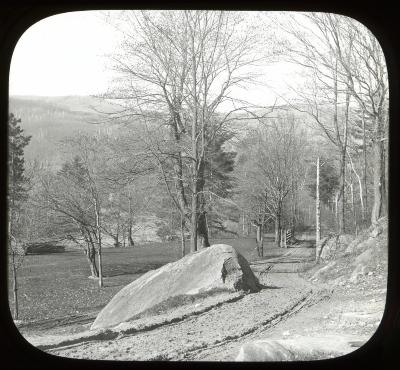 Road near Keene Valley