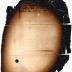Letter from Petrus (Peter) Stuyvesant to Jeremias van Rensselaer
