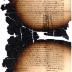 Letter from Maria Momma to Jeremias van Rensselaer