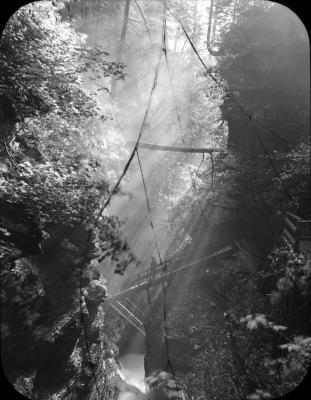 Central Gorge, Havana Glen