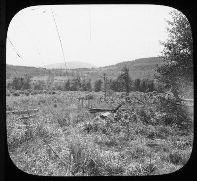 Sugarloaf Mt. from near Tannersville