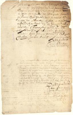 Certificate that Margarita Provoost was living on June 12, 1647