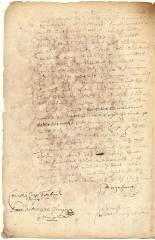 Power of attorney from Director Stuyvesant to Willem van Lith to collect yearly two months of his pay from the West India Company