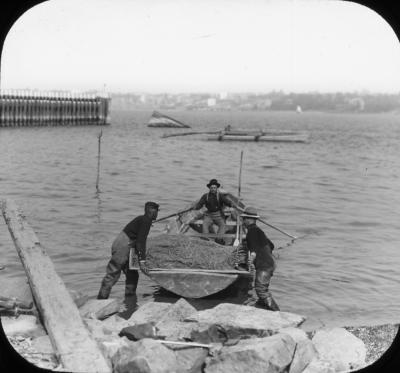 Shad fishing on the Hudson River, shoving off the boat