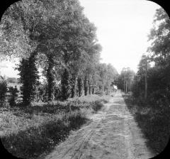 A country road in Huntington, New York