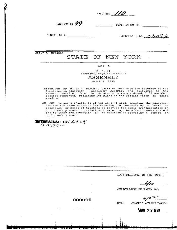 NYS Bill and Veto Jackets: 1999, Chapter 110