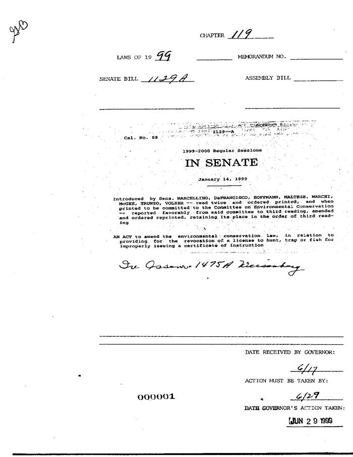 NYS Bill and Veto Jackets: 1999, Chapter 119