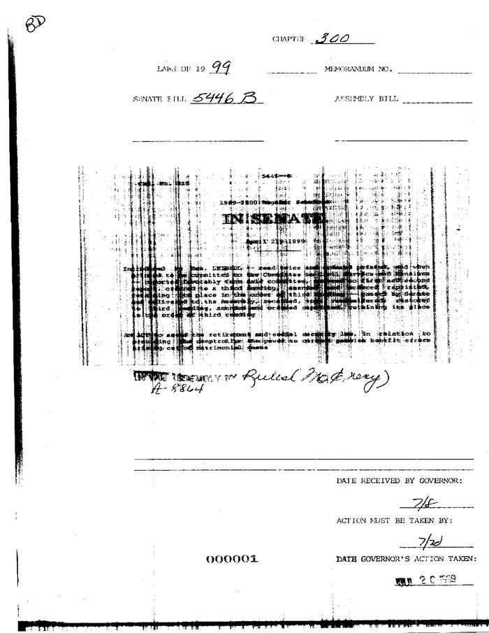 NYS Bill and Veto Jackets: 1999, Chapter 300