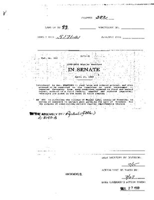 NYS Bill and Veto Jackets: 1999, Chapter 382