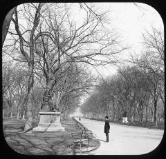 Mall and Elm Trees without Foliage in Central Park, New York City