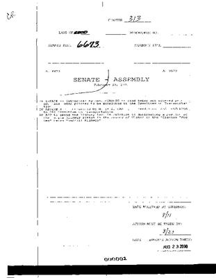NYS Bill and Veto Jackets: 2000, Chapter 313