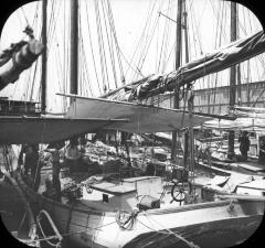 New York City. Oyster Boats, Foot of Perry Street.