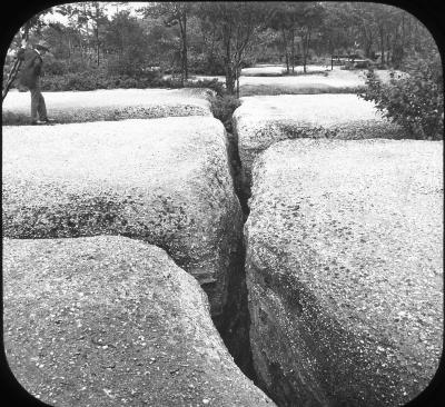 N.Y. Near Olean. Rock City. Top of Rocks.