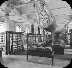 Ethnological Hall, Am. Mus. Nat. Hist., New York City