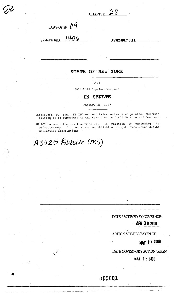 NYS Bill and Veto Jackets: 2009, Chapter 28