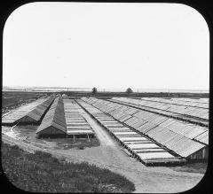 Solar Salt Fields at Salt Works