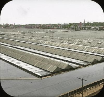 Panorama of Salt Works