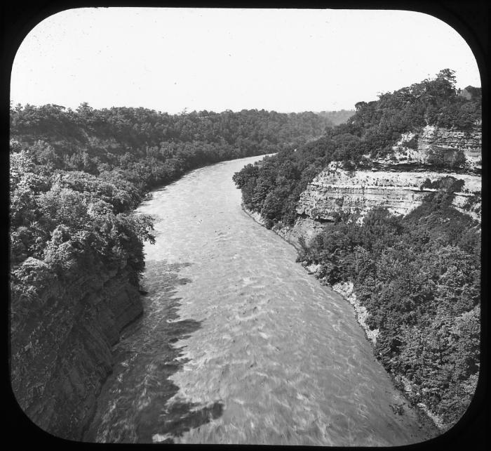 Genesee River Gorge from Driving Park Bridge