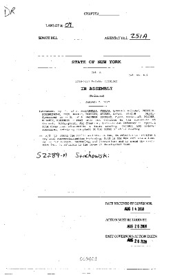 NYS Bill and Veto Jackets: 2009, Veto 46