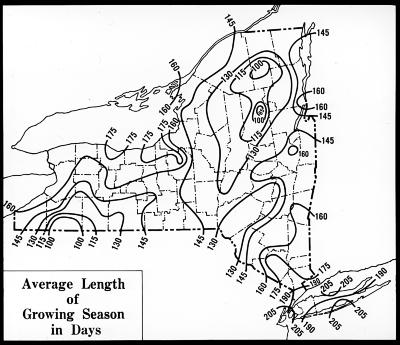 Map of New York State Showing Average Number of Days between Last Frost in Spring and First in Fall.