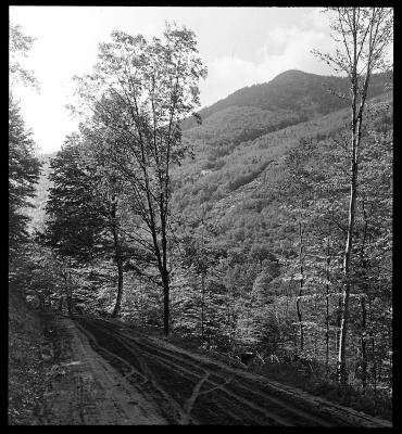 Road and Forest-Covered Mountain Side in New York