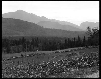 View South from Near North Elba, New York