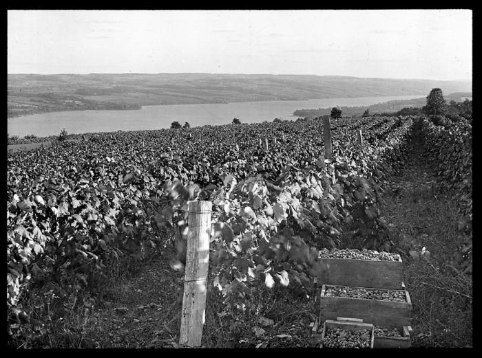 Keuka Lake, East Branch, Yates County