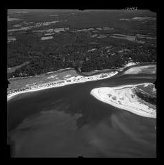 Stony Brook, N.Y.
