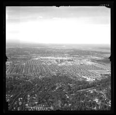 Hollis, N.Y.