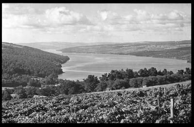 Keuka Lake, West Branch, Yates County