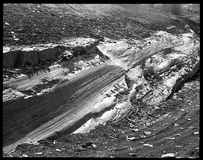 Ledge of Rock Polished and Grooved by Glaciers on East slope of Cayuga Lake valley, Ithaca, New York