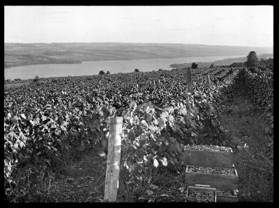 Keuka Lake, East Branch, Yates County