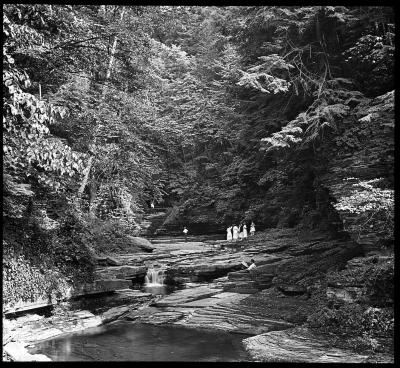 Montour Glen (Entrance), Schuyler County