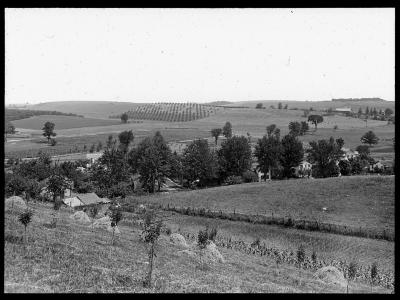 Galen, Wayne County