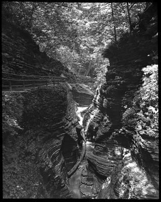 Watkins Glen