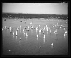 Sailboats, N.Y.