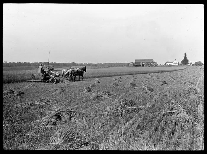 Seneca Castle Farm, Ontario County