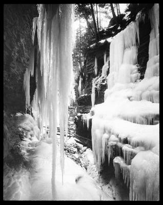 Watkins Glen